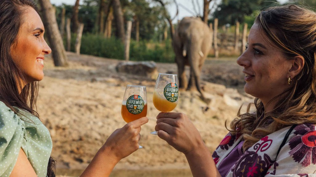 Twee vrouwen proosten met kleine bierglazen met op de achtergrond een olifant.